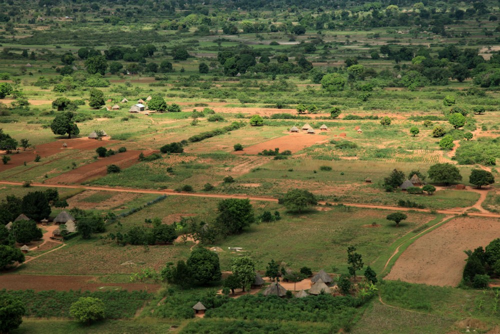 The Role of Land Staking in Sustainable Development